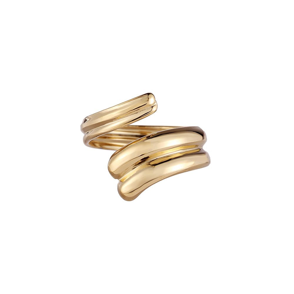Ring 'DoubleTwist'