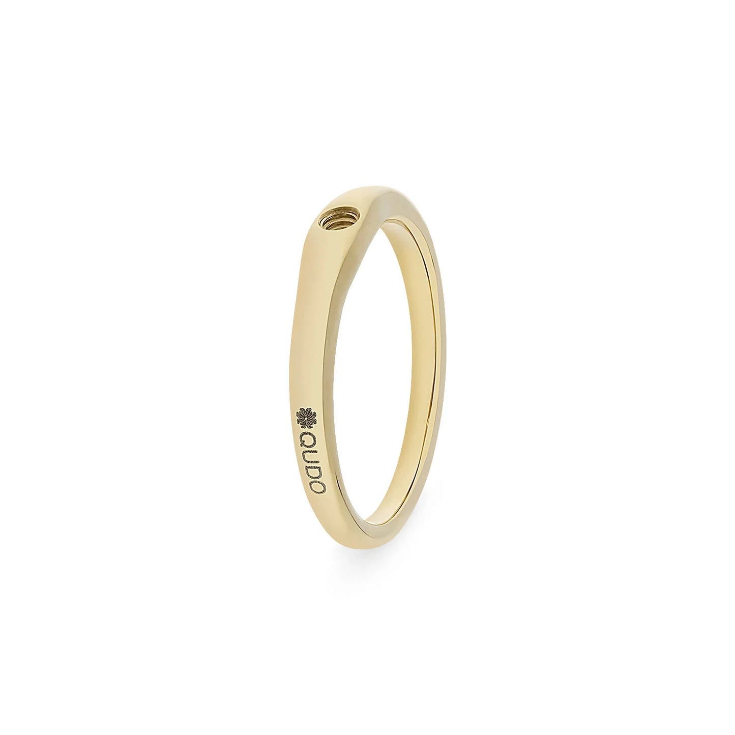 Ring 'BasisFine'