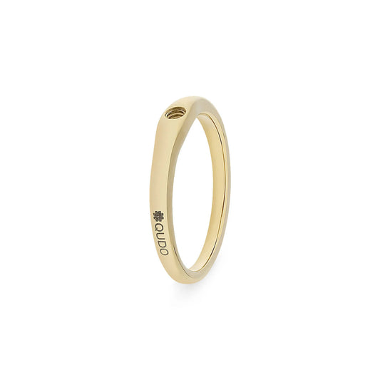Ring 'BasisFine'
