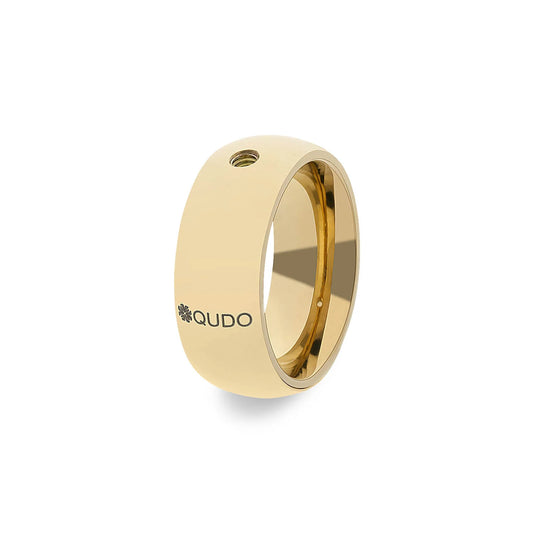 Ring 'BasisBig'
