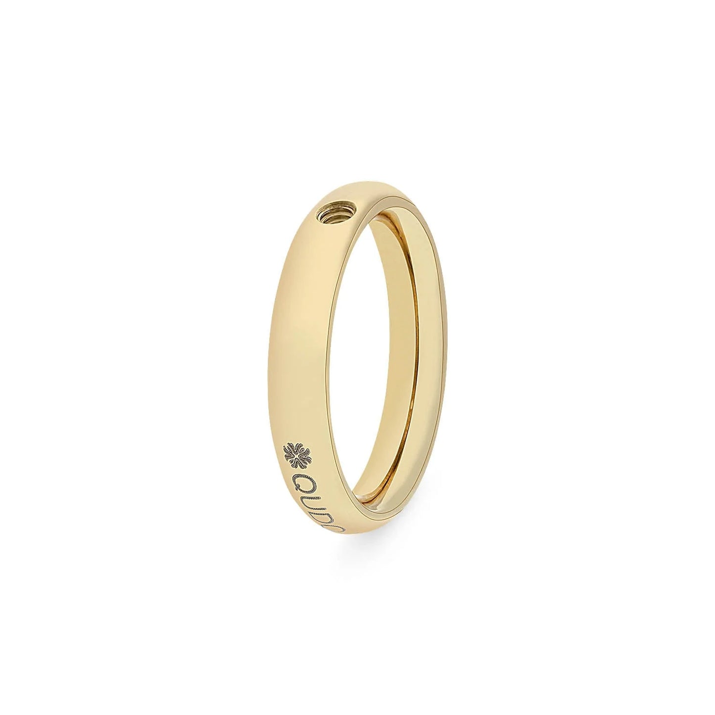 Ring 'BasisSmall'