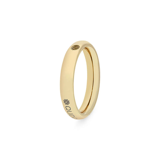Ring 'BasisSmall'